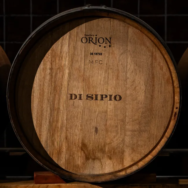 Botte in Legno Cantina Di Sipio