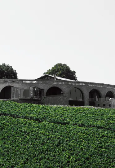 Cantina Di Sipio in bianco e nero con vigneto in risalto verde