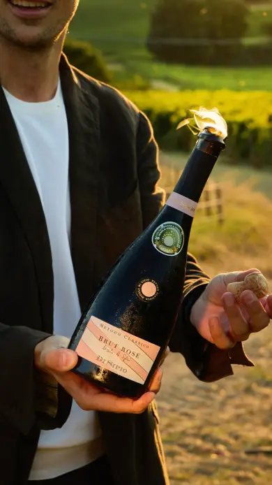degustazione personalizzata cantina di sipio