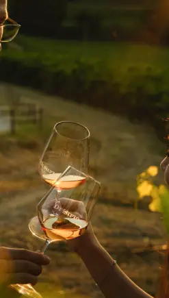 degustazione su misura cantina di sipio
